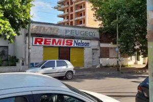 Agencia de Remis Nelson