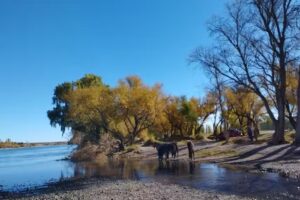 BC Transporte de personal y Cargas