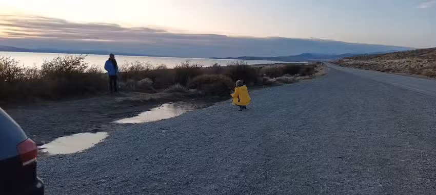 Carlos taxi y traslados(shuttle)