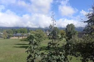 Expreso Oro Negro El Bolson