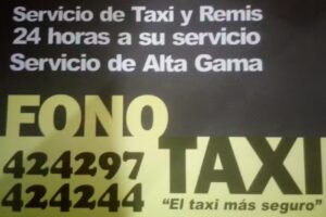 FONO &ndash; TAXI