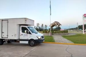 Mudanzas y Fletes Araus