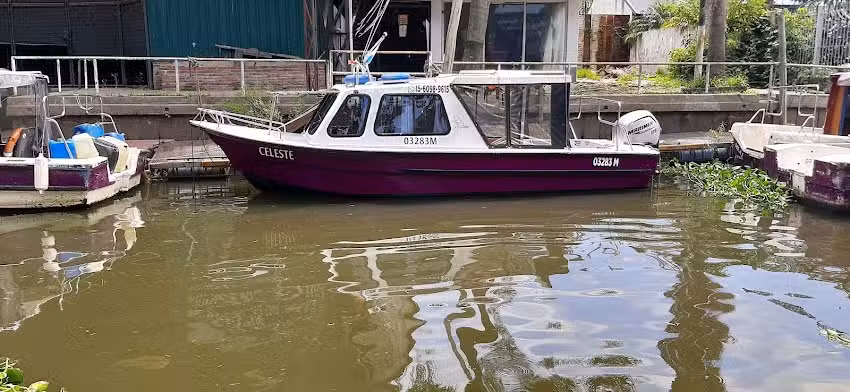 Paseos Náuticos Castor