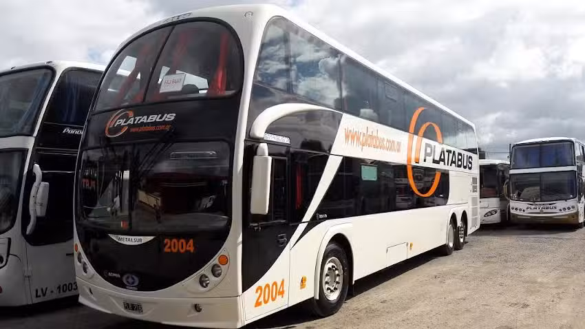 PLATABUS NECOCHEA