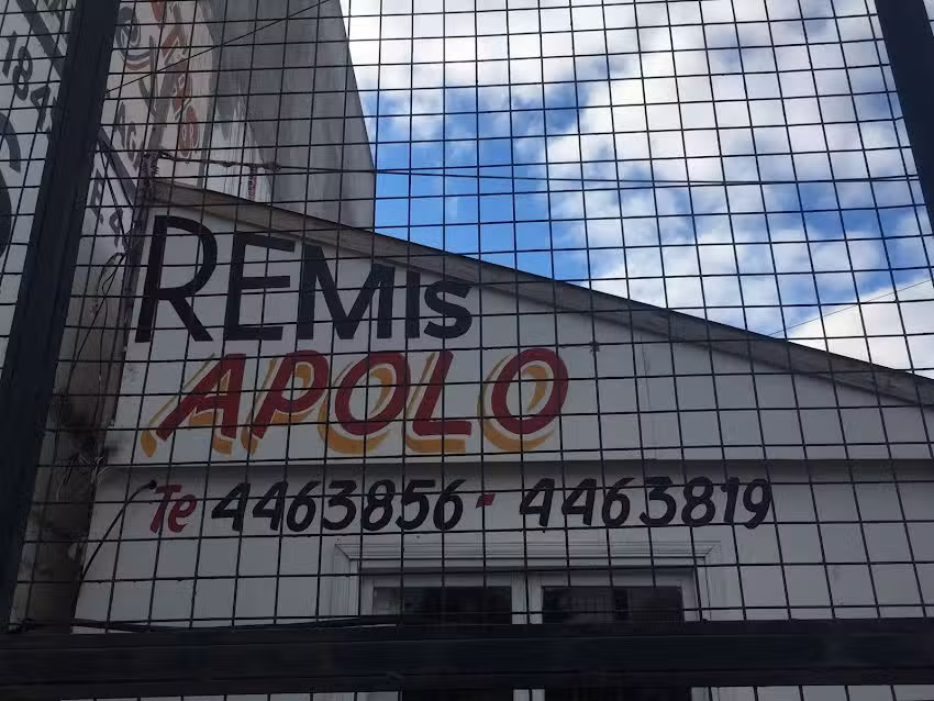 Remis Apolo