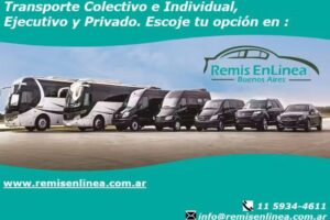Remis En Linea