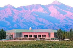 Remis.Garcia tu Ch&oacute;fer personal