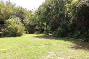 Remis &ldquo;Los Rodriguez&rdquo;