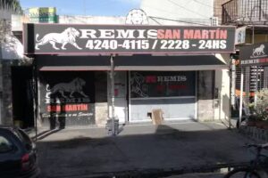 Remis San Mart&iacute;n