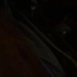 Remis San Mart&iacute;n