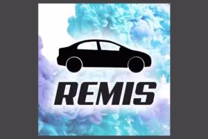 Remiser&iacute;a El particular remis