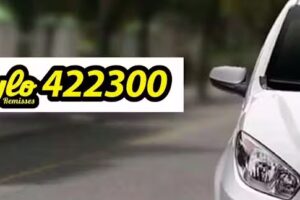 Remises Stylo Renovado