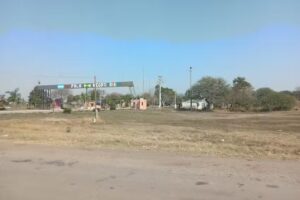 Selva Santiago del Estero