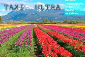 Taxi Esquel * Aeropuerto *Tulipanes *Parque Nacional los Alerces,Recorridos*La hoya*Frontera*