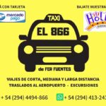 Taxi la terminal