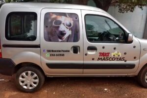 TAXI MASCOTAS