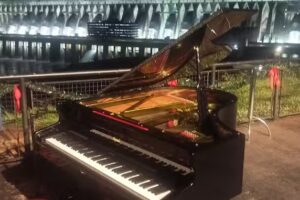 Taxi Puerto Iguazu Yaguarete