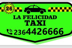 Taxis Parada TERMINAL JUNIN