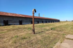Terminal de Ómnibus de Adolfo Alsina
