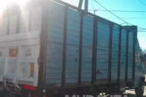 Transportes Mateo S.A