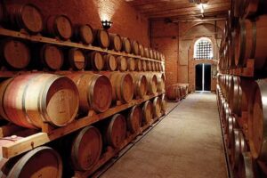 Traslados a bodegas/citytours/Alta montaña