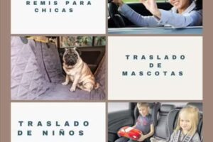 Traslados Natalia